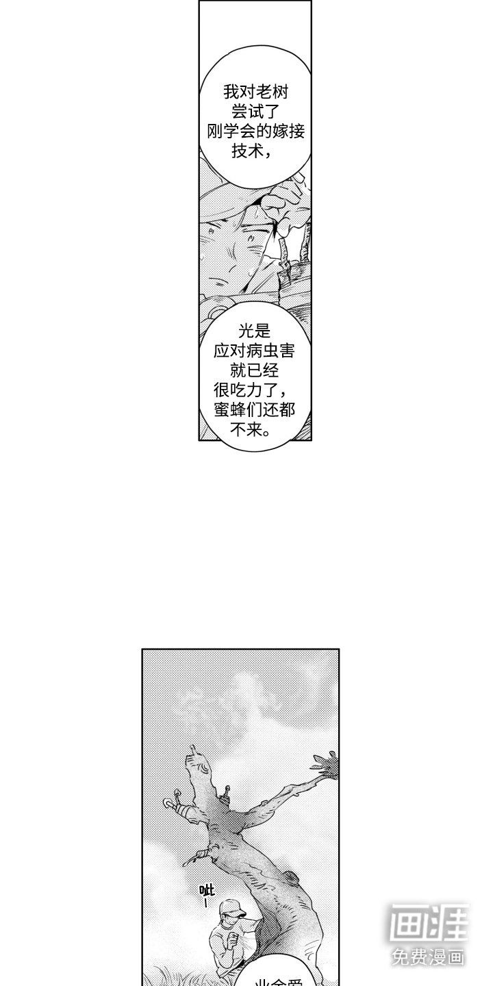 第7章：嫁接