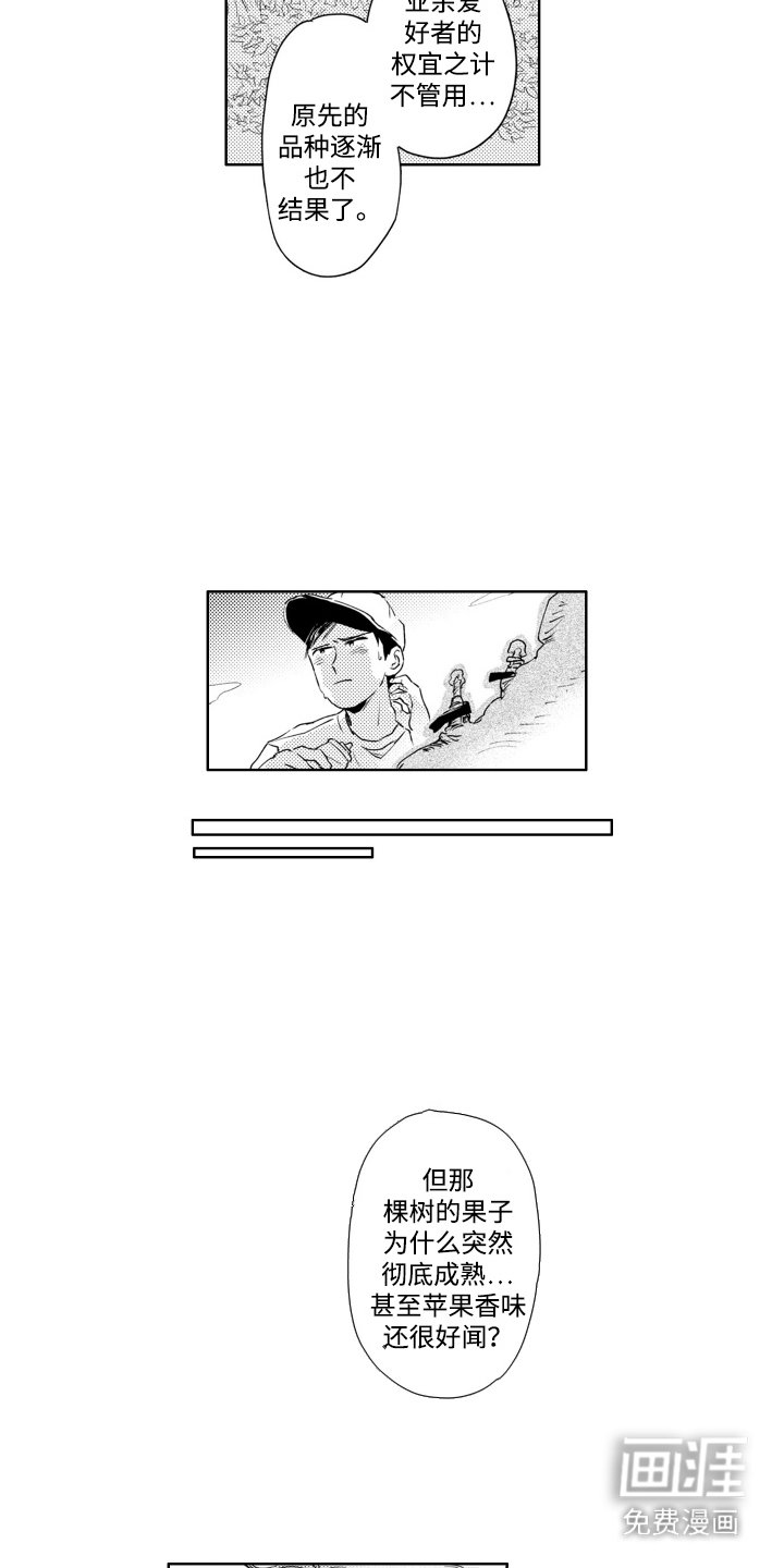 第7章：嫁接