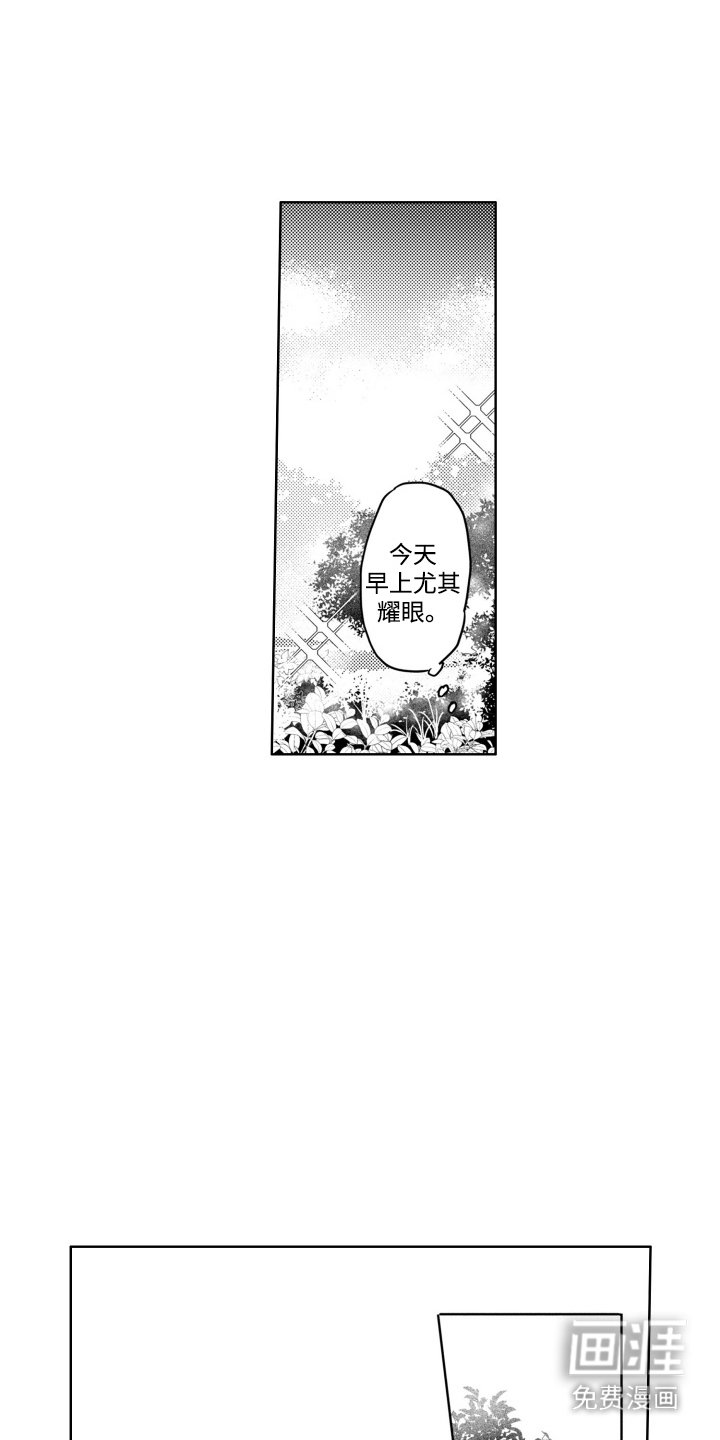 第8章：很耀眼