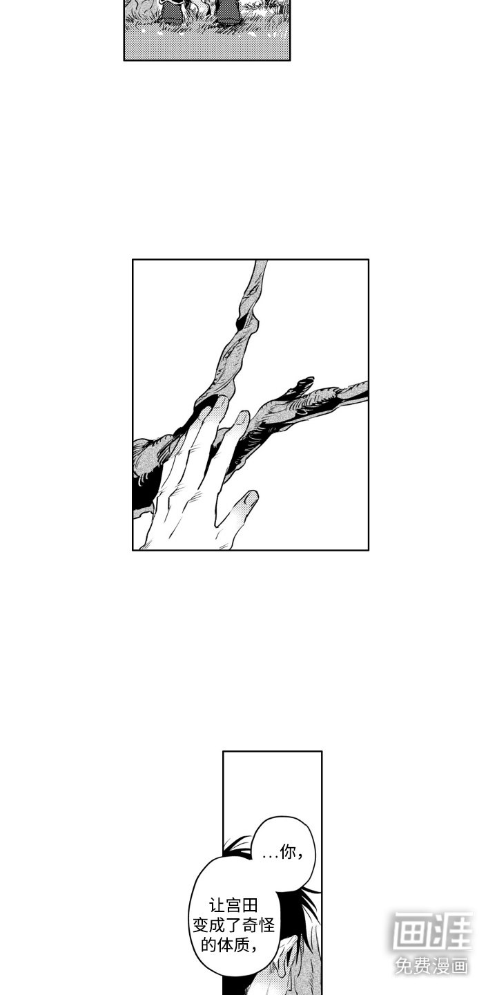 第8章：很耀眼