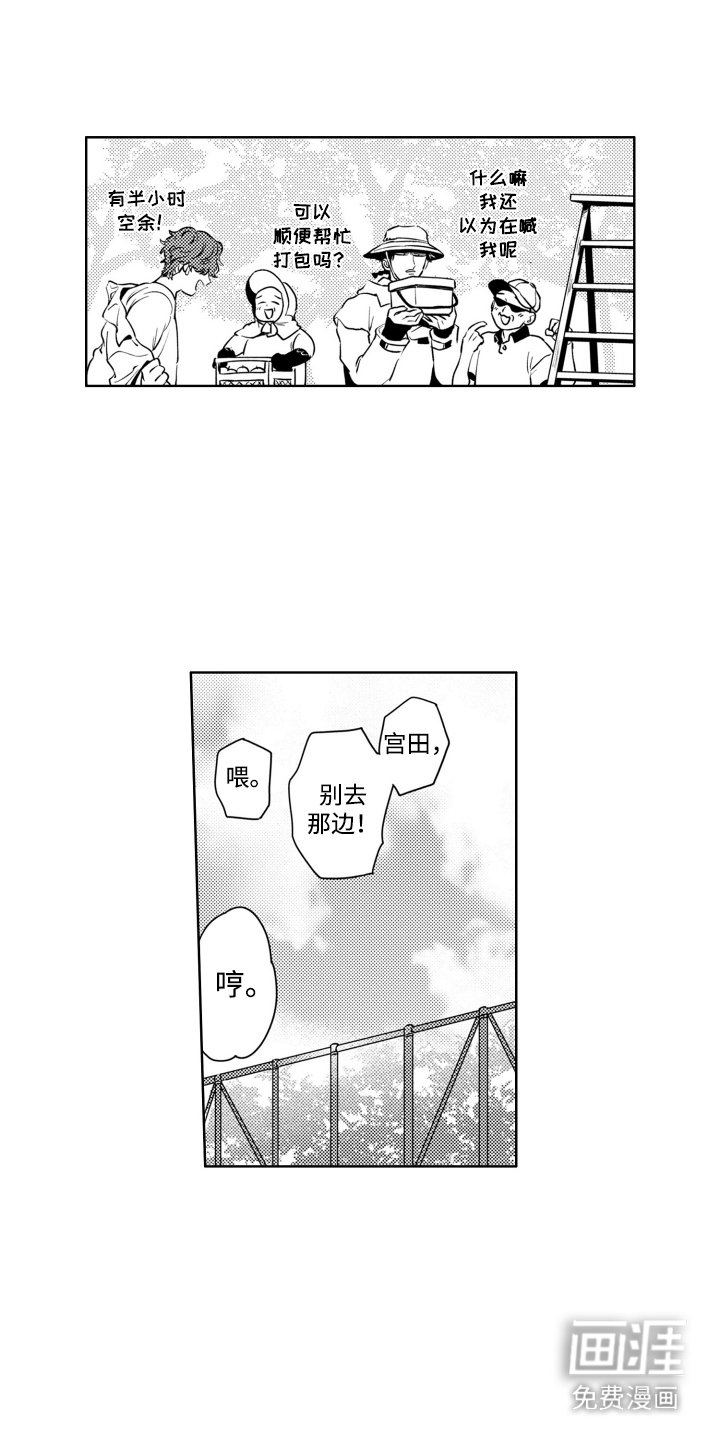 第9章：思绪