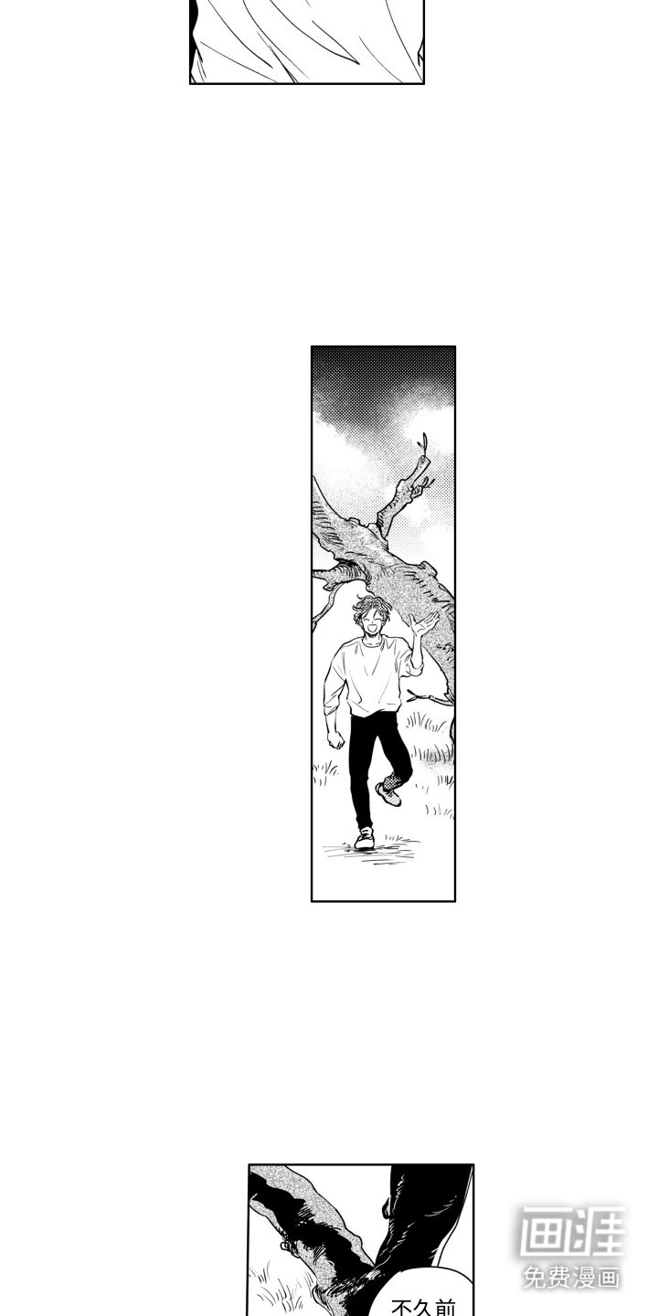 第9章：思绪