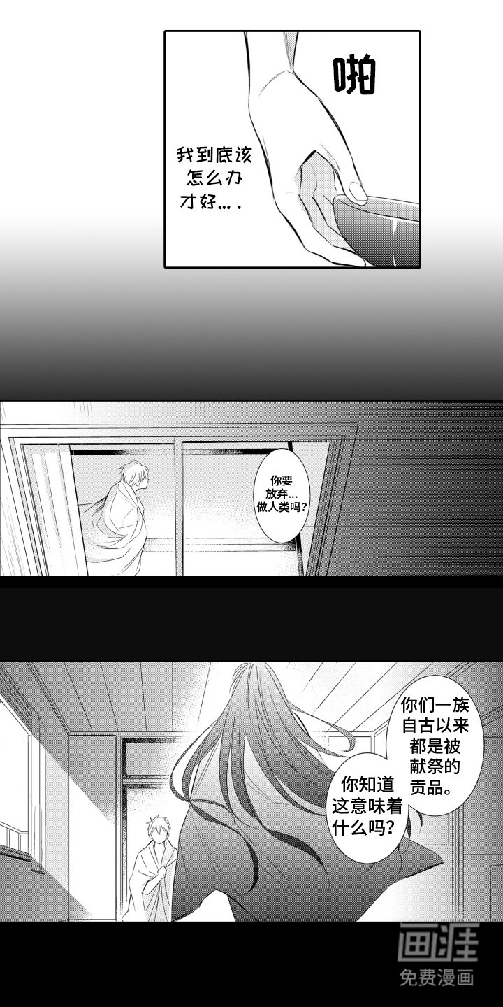 第18章：选择