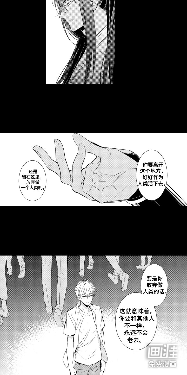 第18章：选择