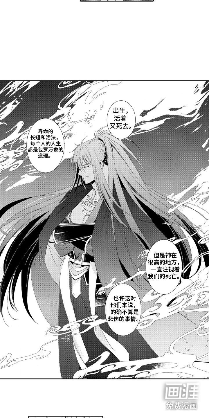 第19章：做决定