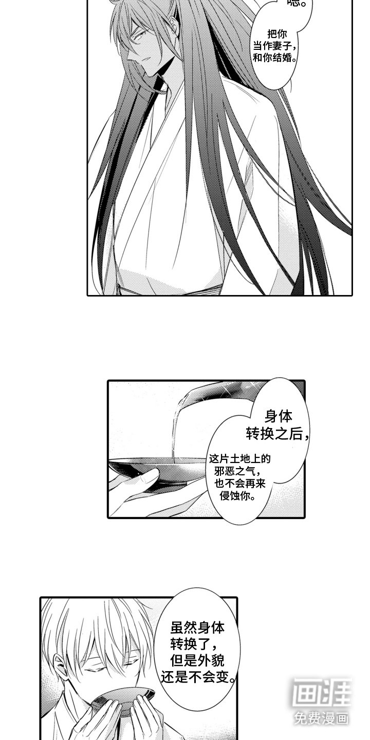 第20章：神婚
