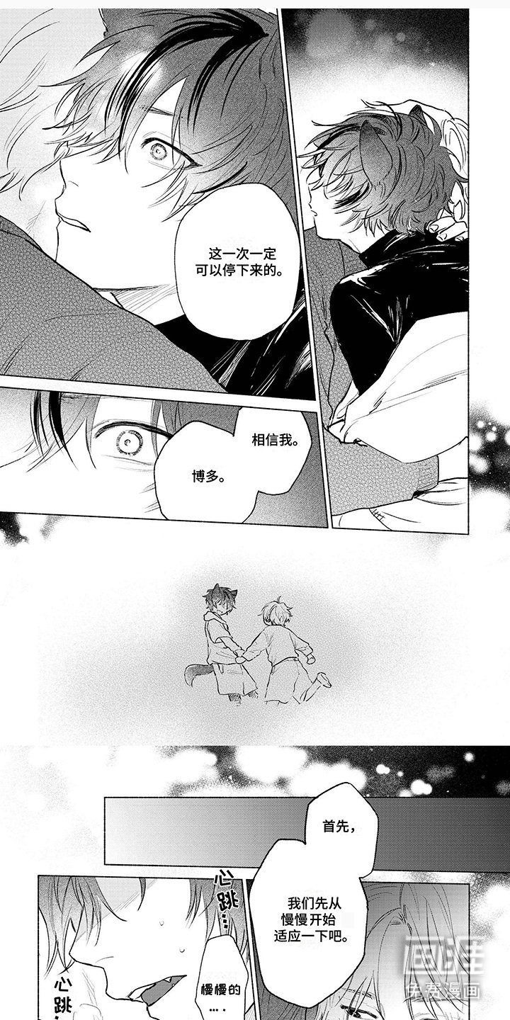 第11章：适应