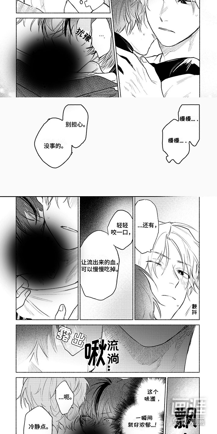 第11章：适应