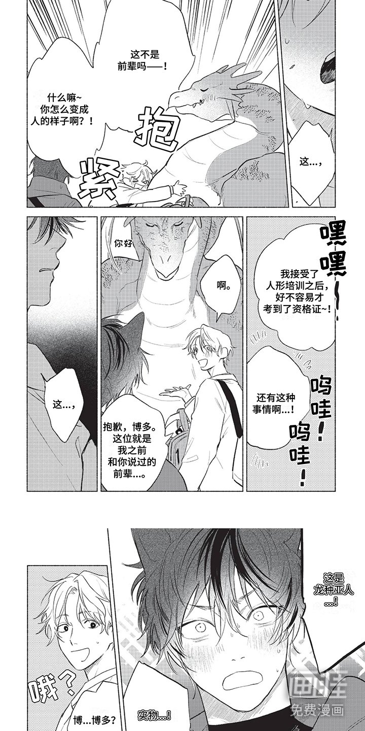 第20章：龙种亚人
