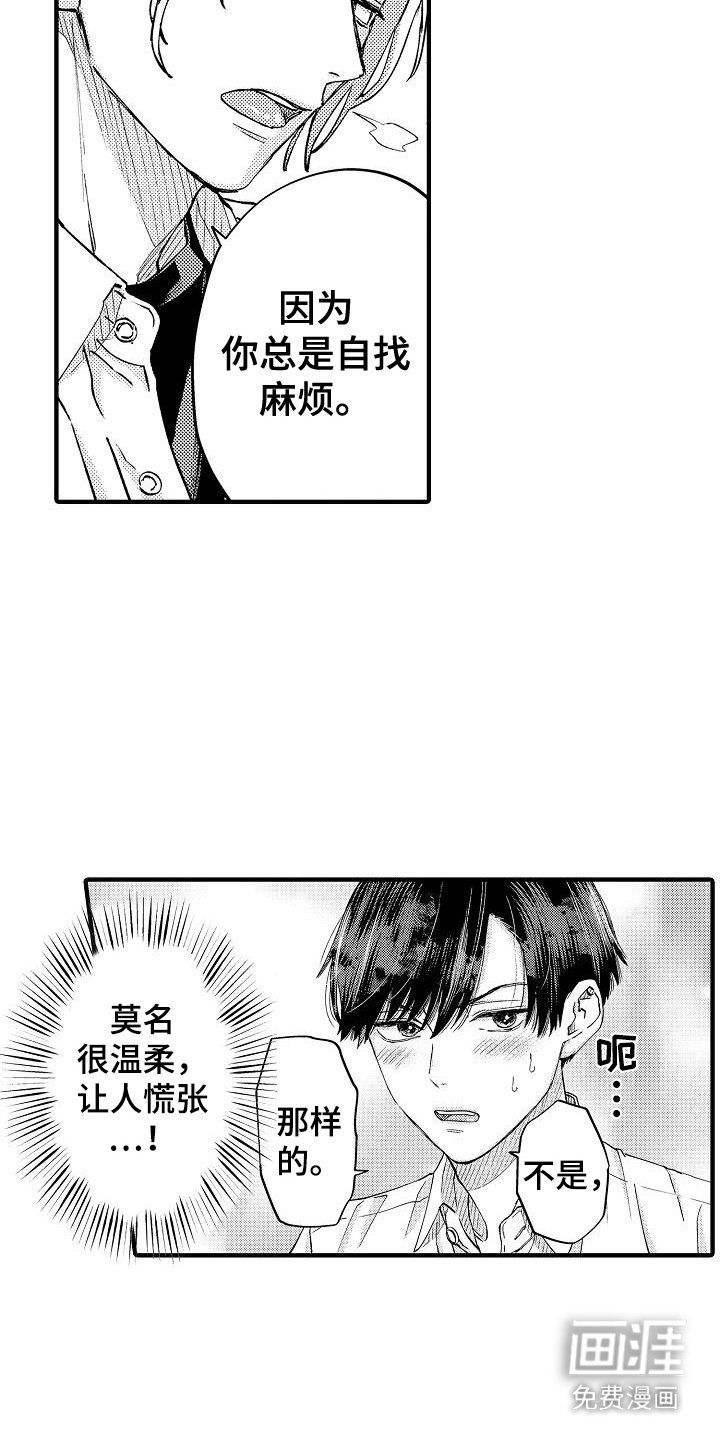 第15章：团体实习