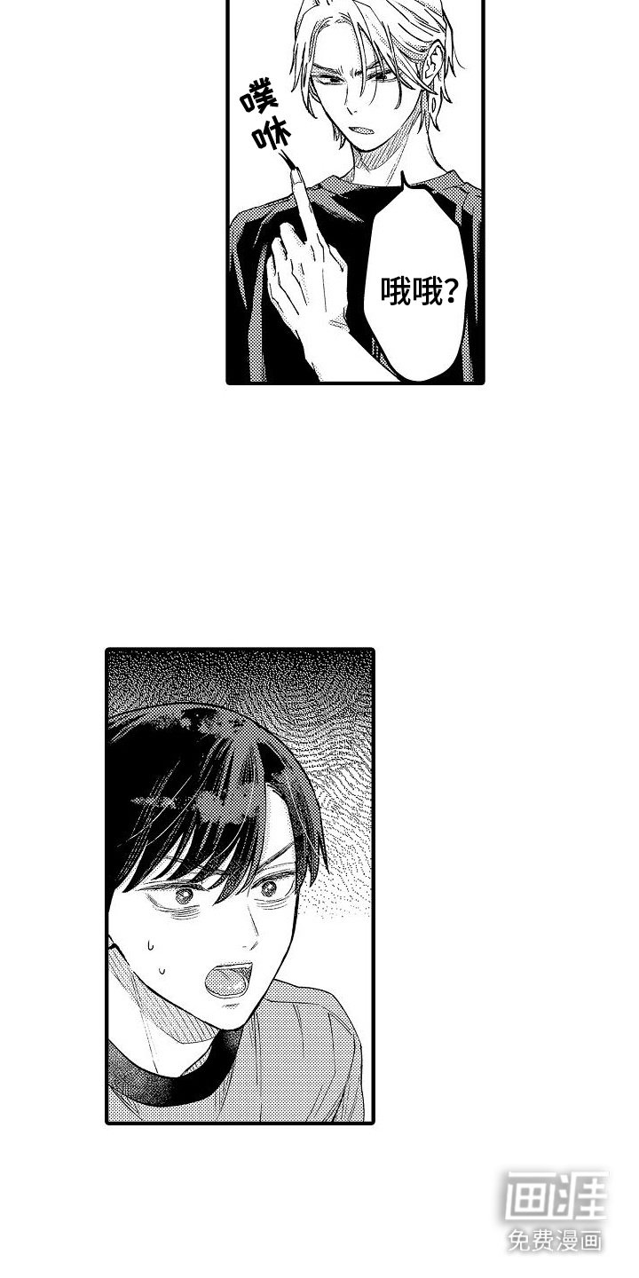第15章：团体实习