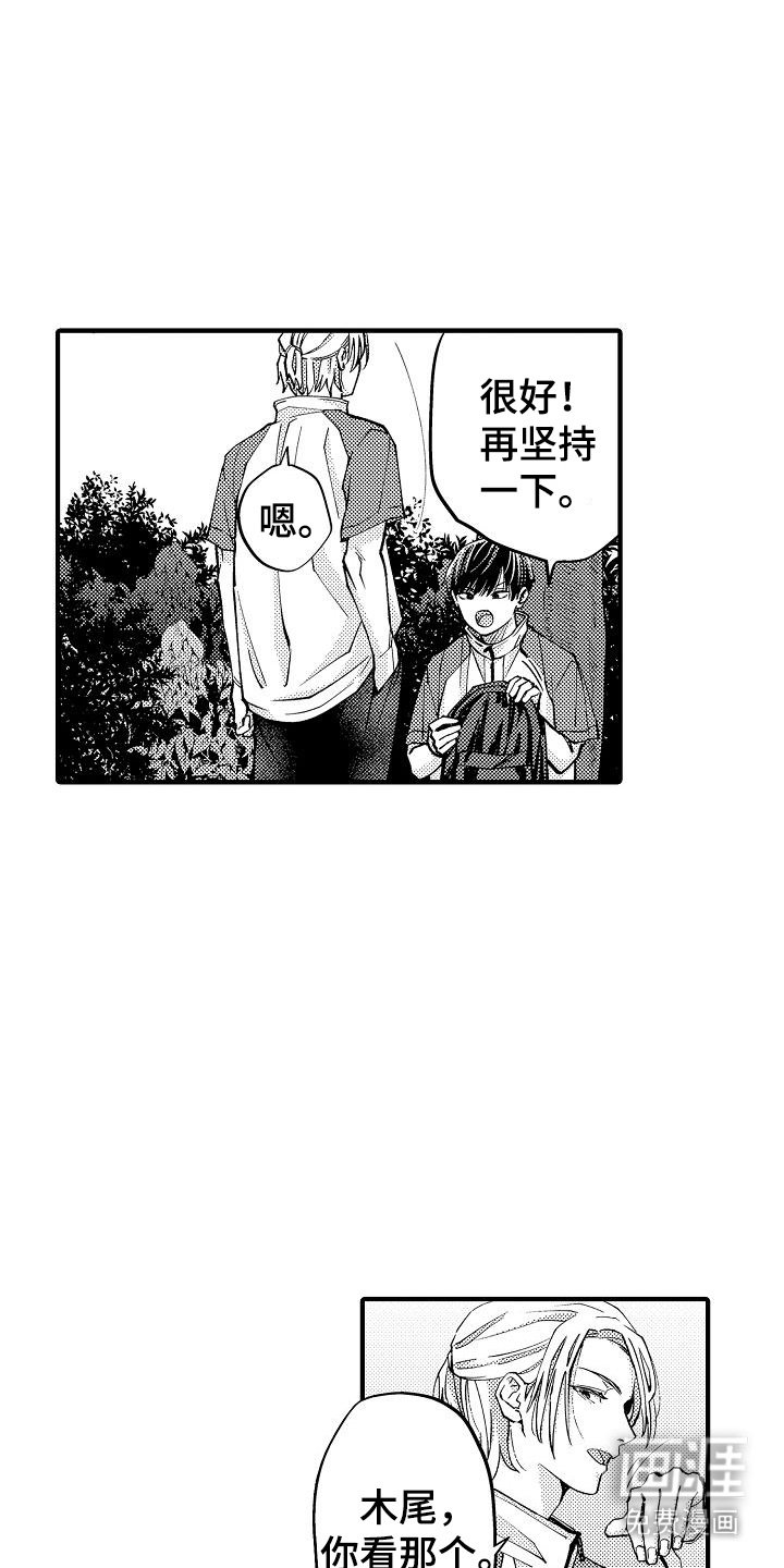 第20章：美景