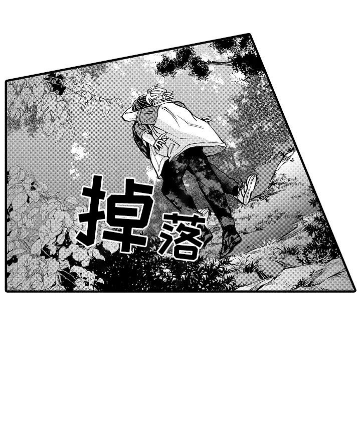第20章：美景