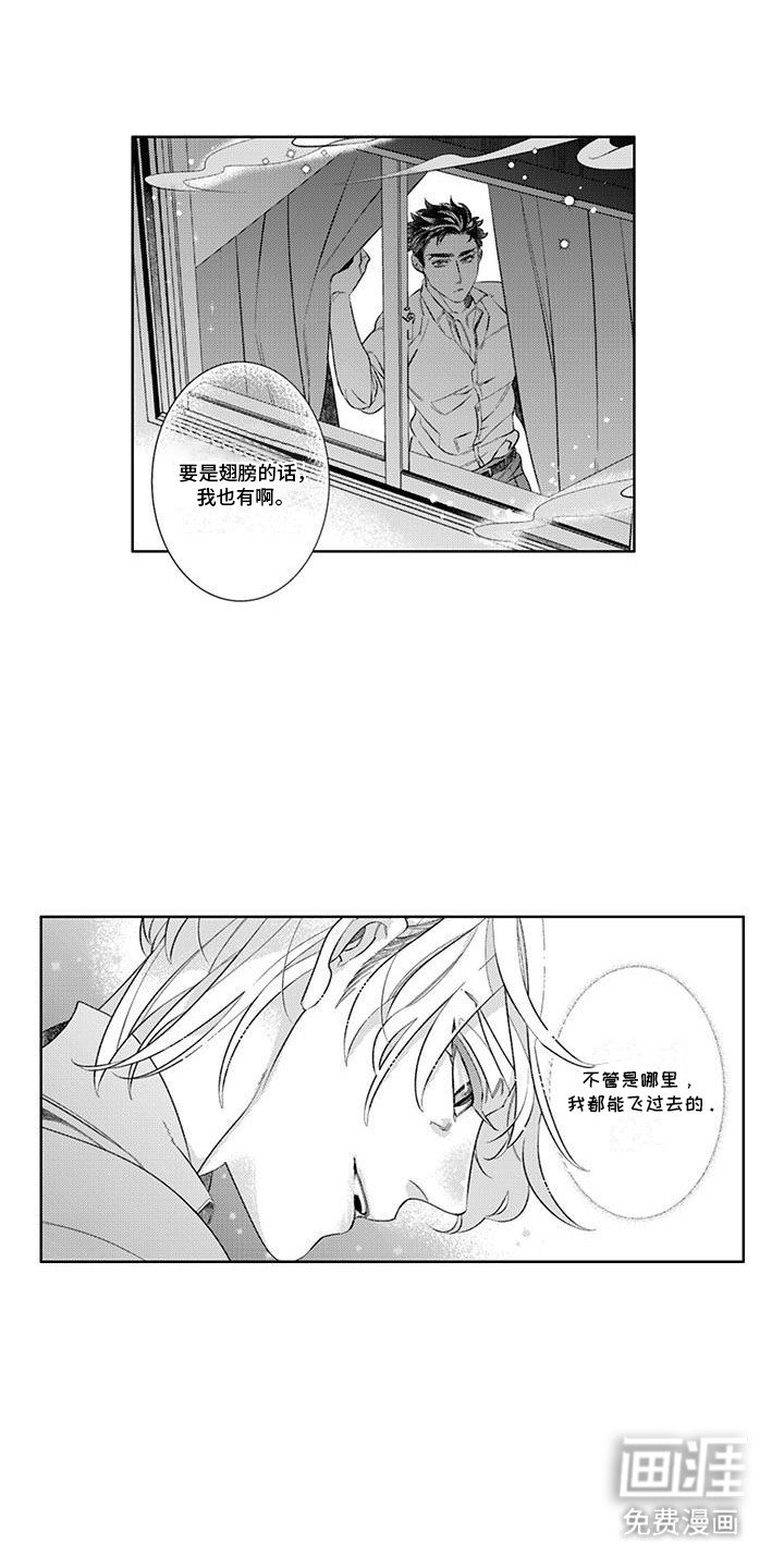 第12章：想飞到你身边