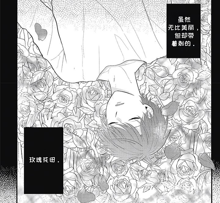 第4章：违反约定