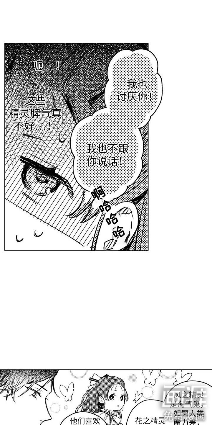 第10章： 精灵们