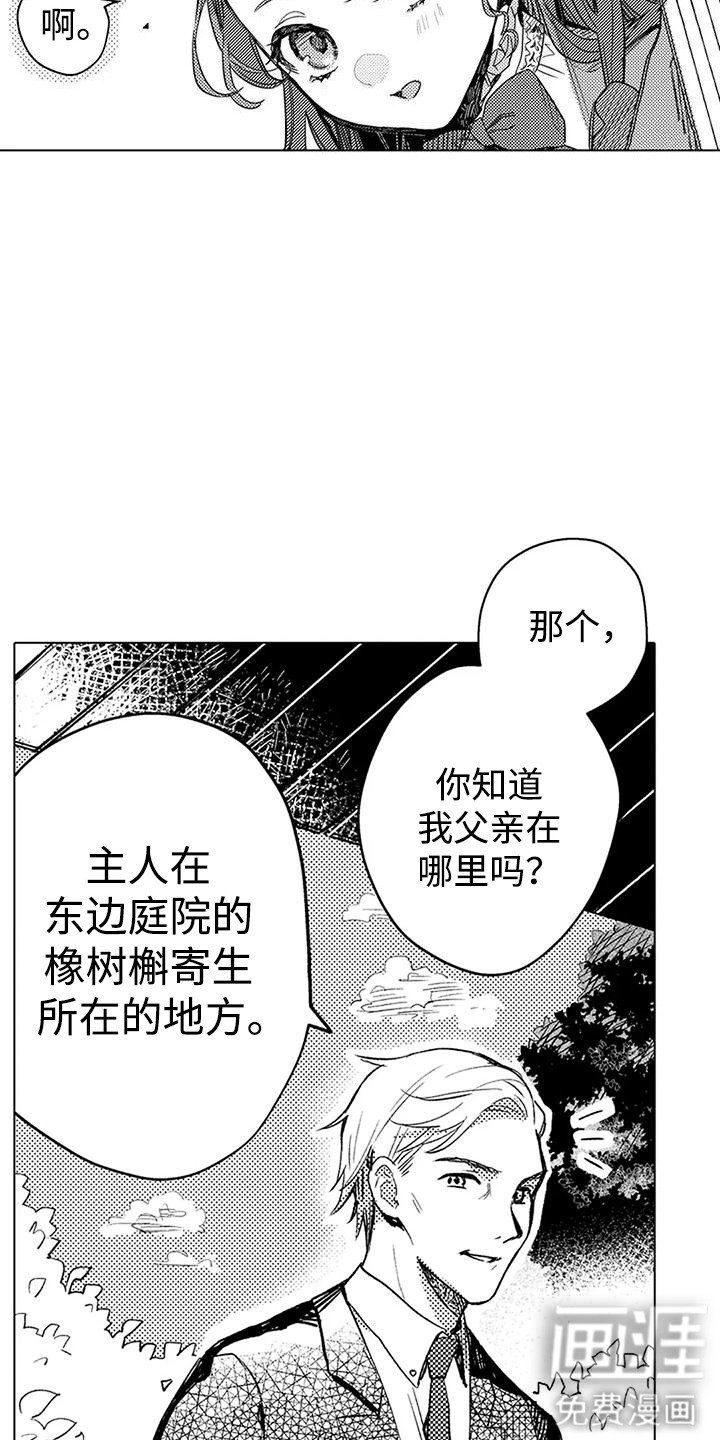 第13章：檞寄生精灵