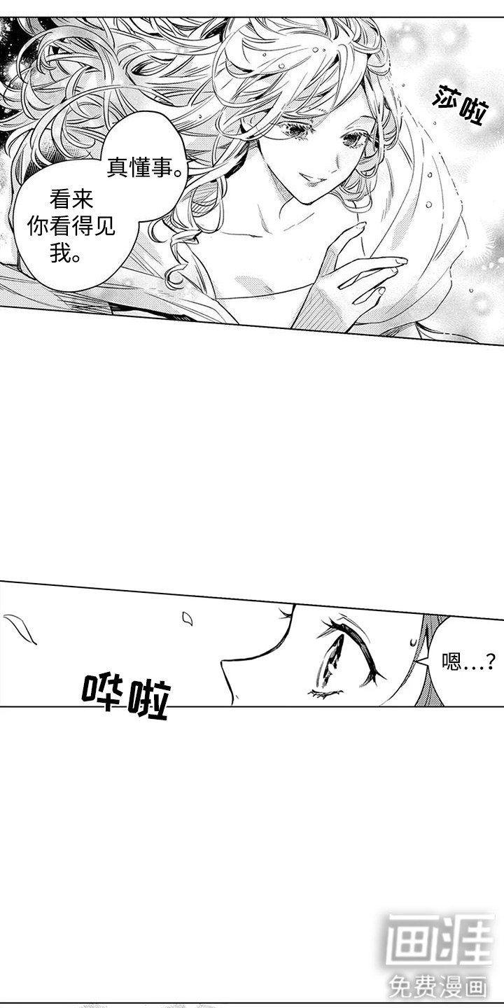 第13章：檞寄生精灵