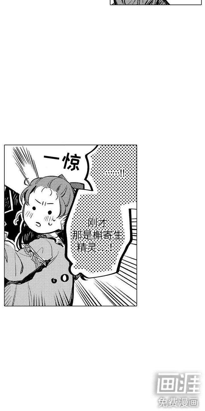 第13章：檞寄生精灵