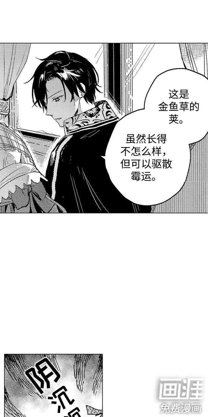 第15章：夸赞