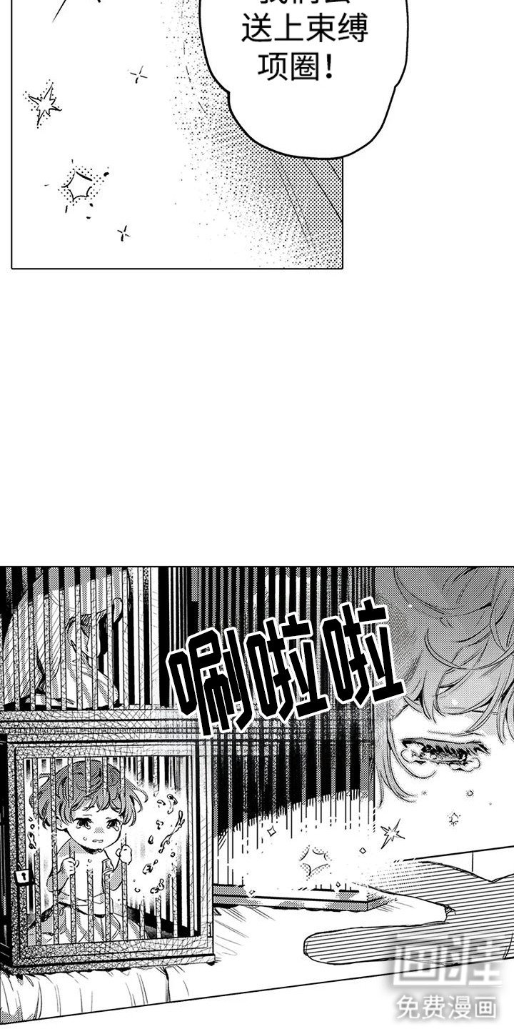 第16章：买卖精灵