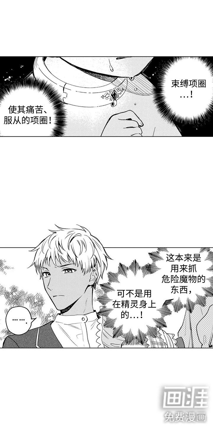 第16章：买卖精灵