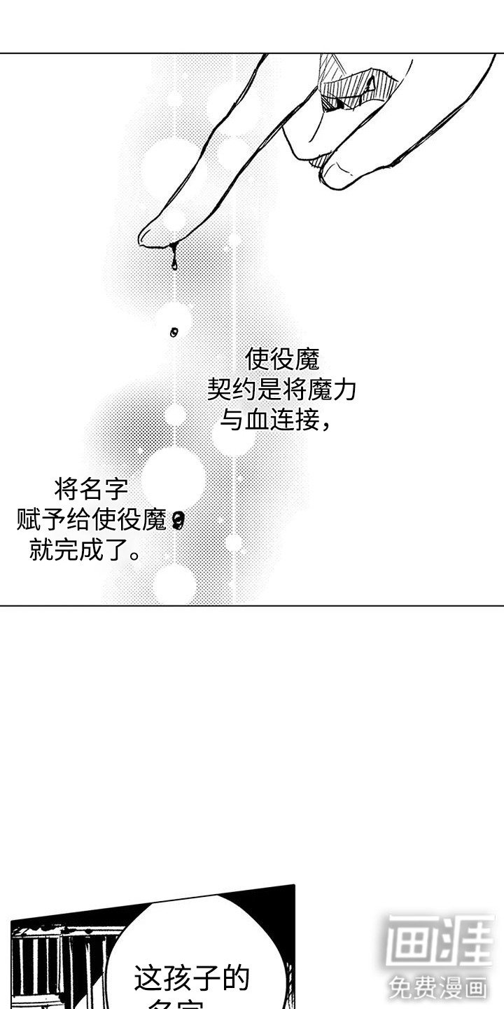 第20章：使役魔