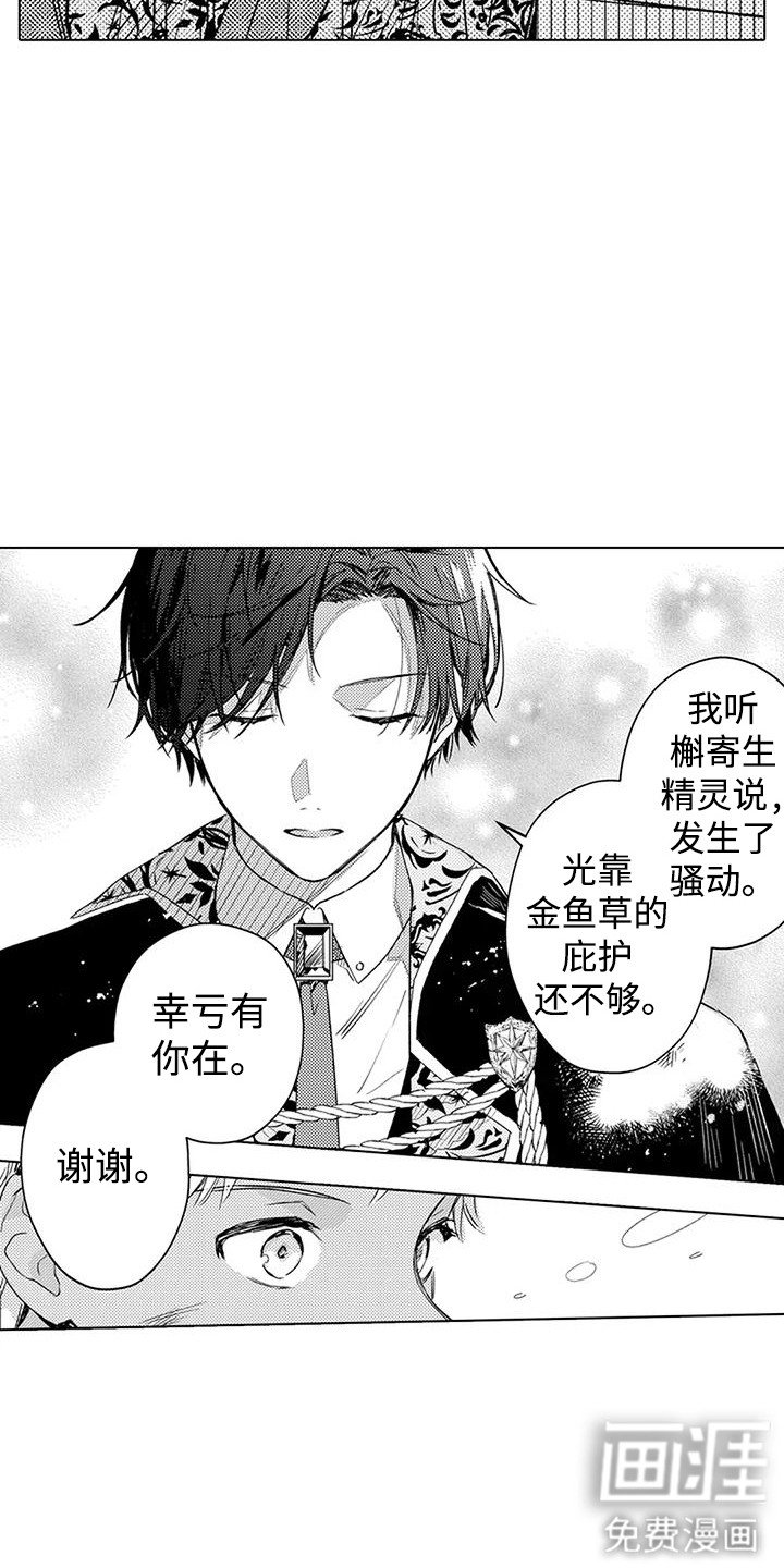 第21章：泉水结晶