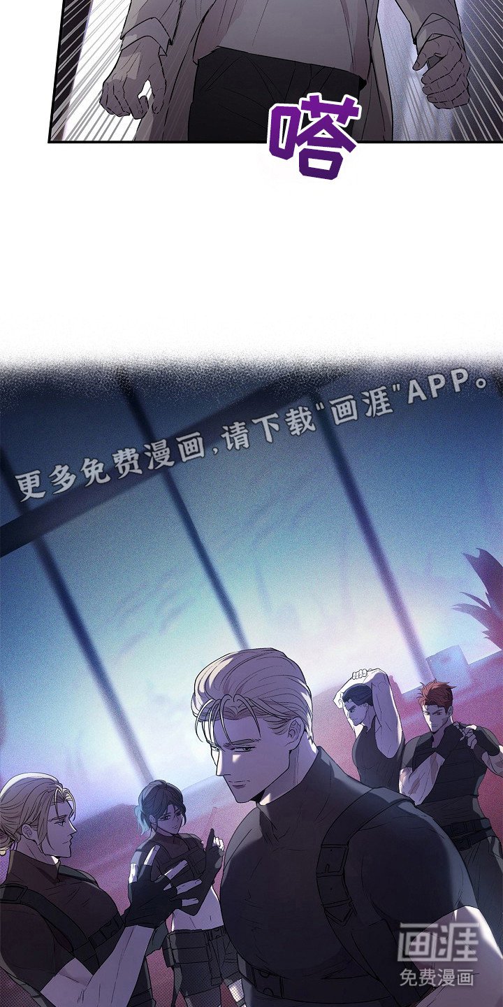 第16章：观察