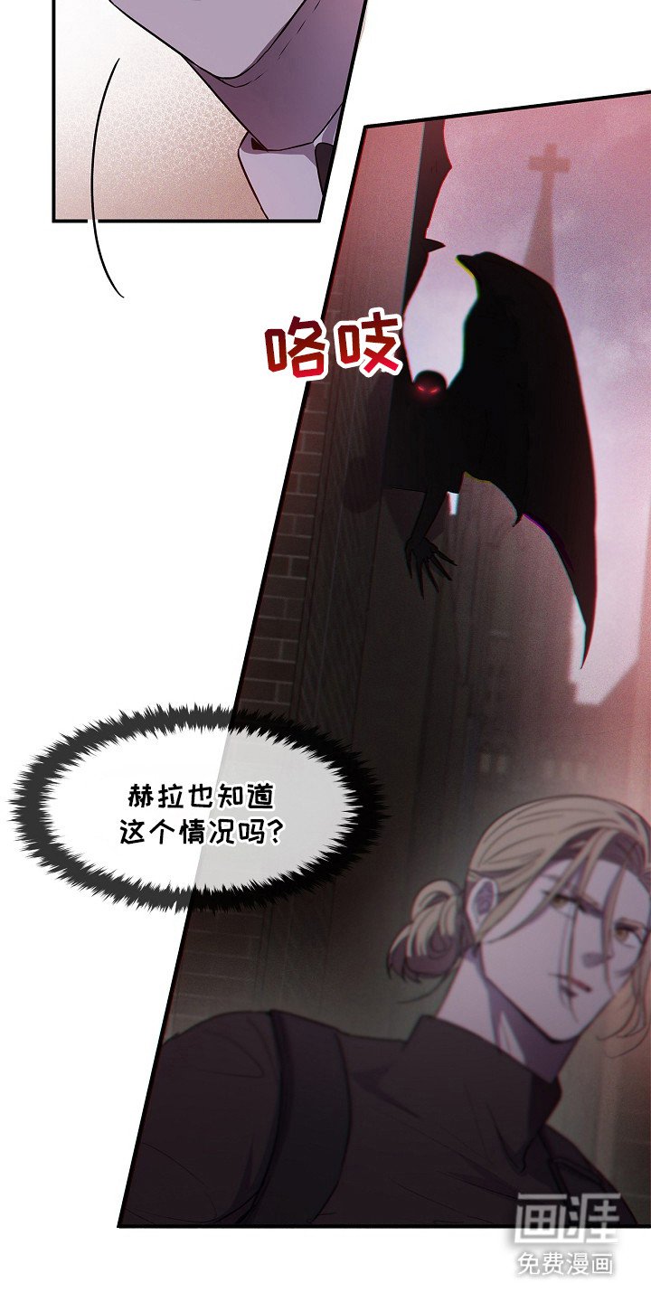 第17章：出现场
