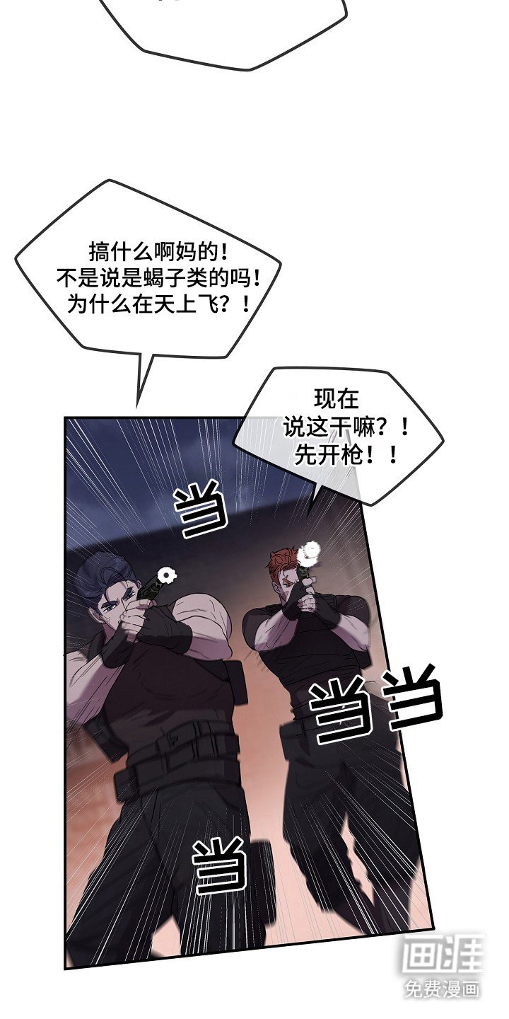 第17章：出现场