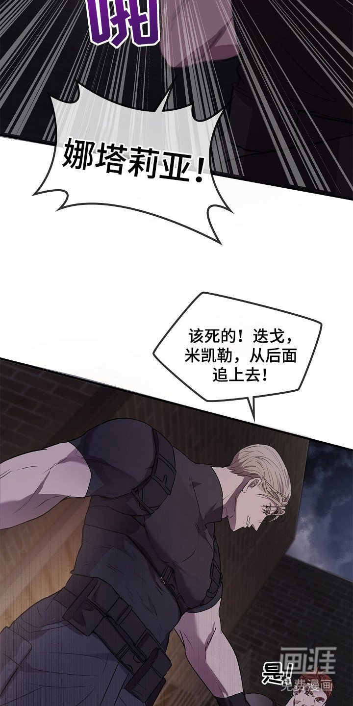 第17章：出现场