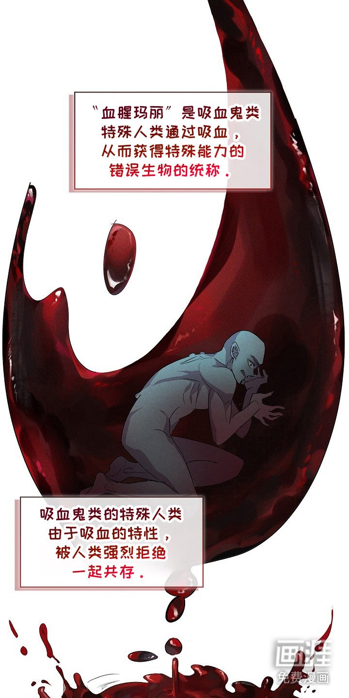 第18章：血腥玛丽