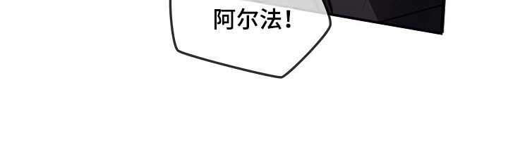 第20章：被迫出手