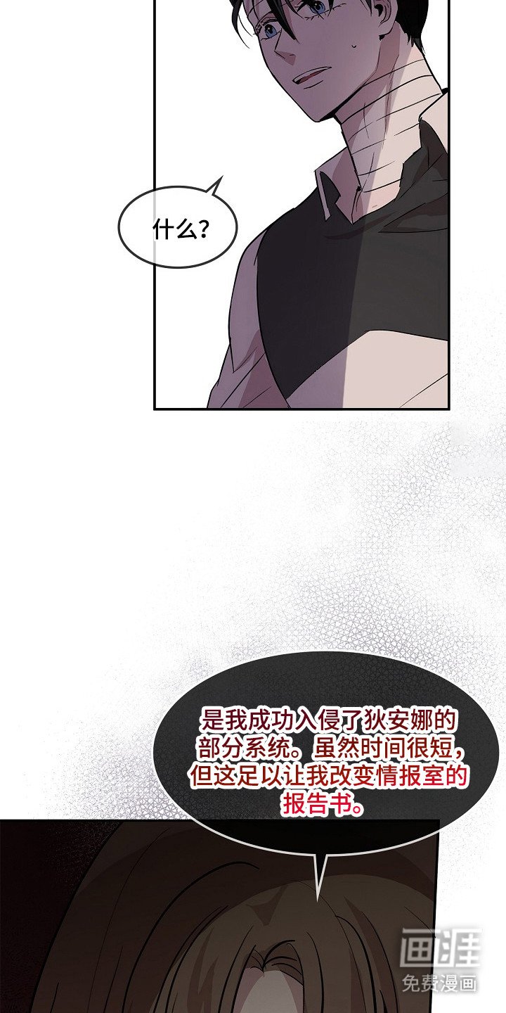 第22章：报告