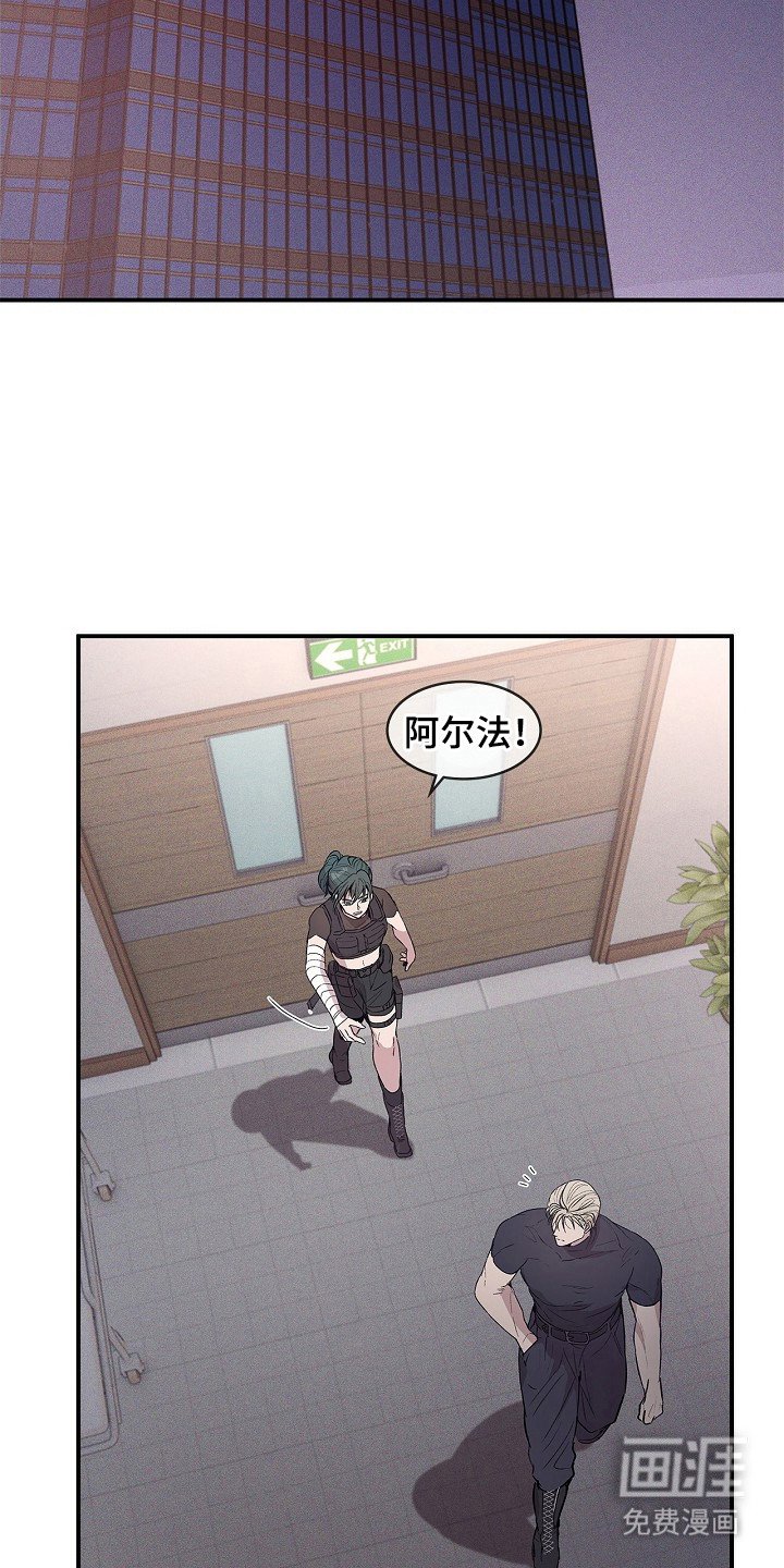 第22章：报告