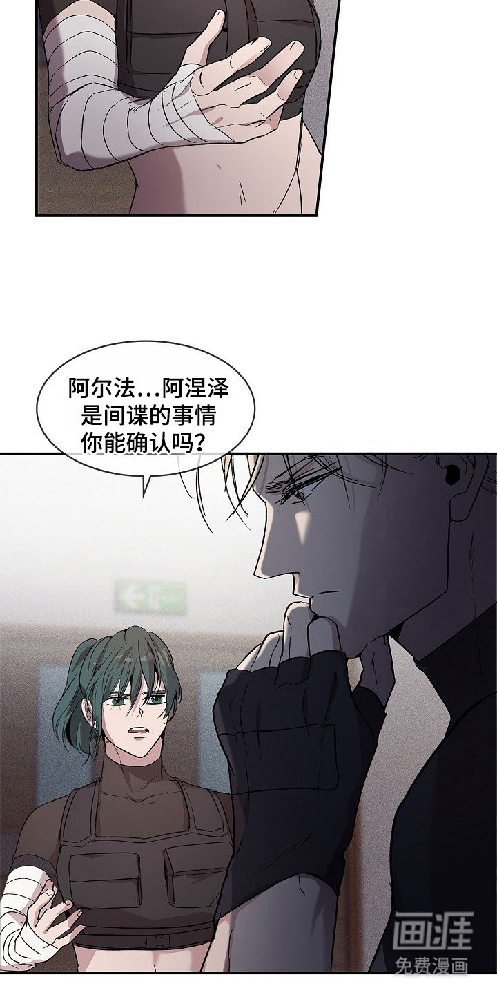 第22章：报告