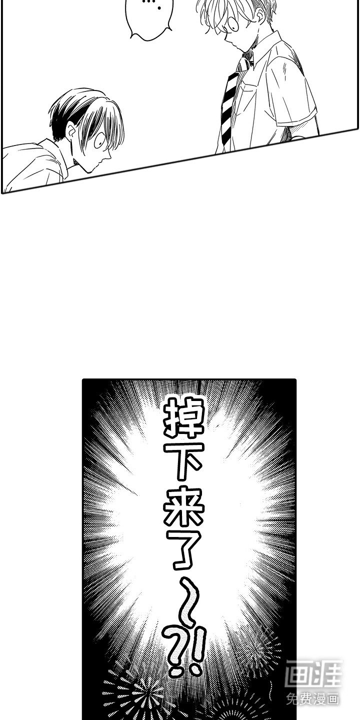 第11章：玩具商店：掉下来了