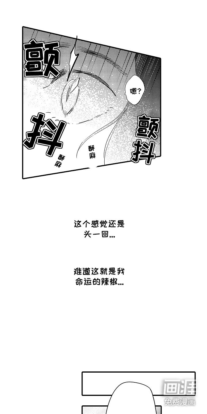 第14章：命运的洞口：寻找命运（完）