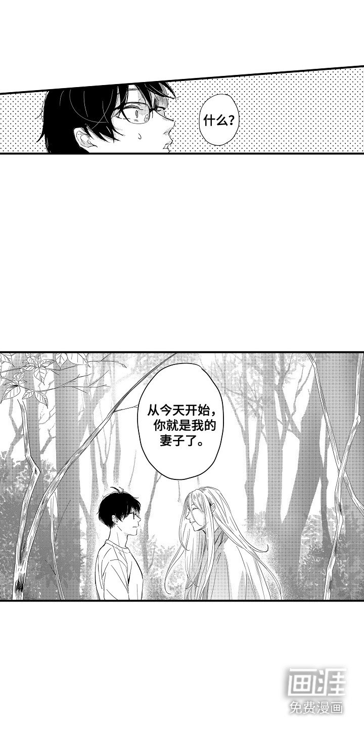 第21章：山神的妻子：归属权