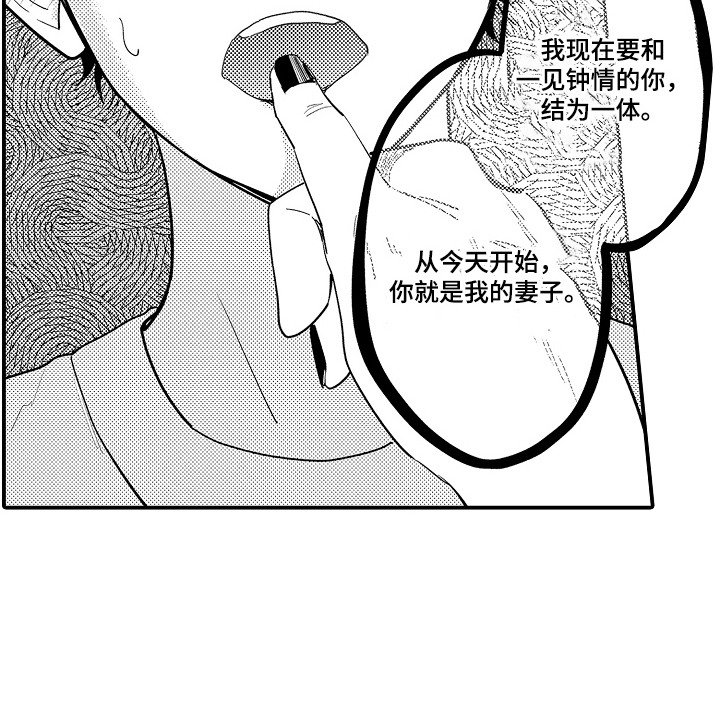 第21章：山神的妻子：归属权