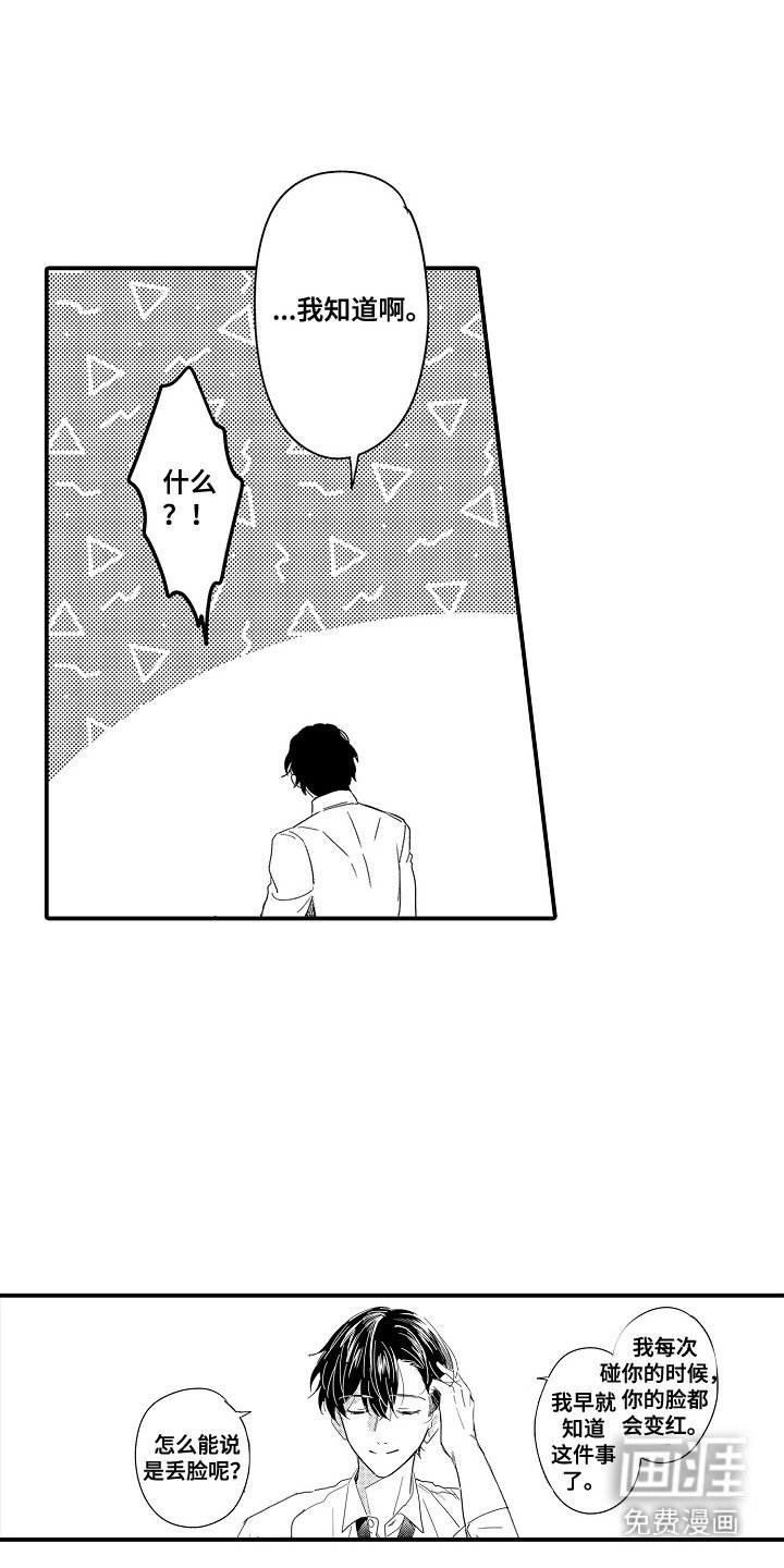 第5章：谁来主导：眼镜
