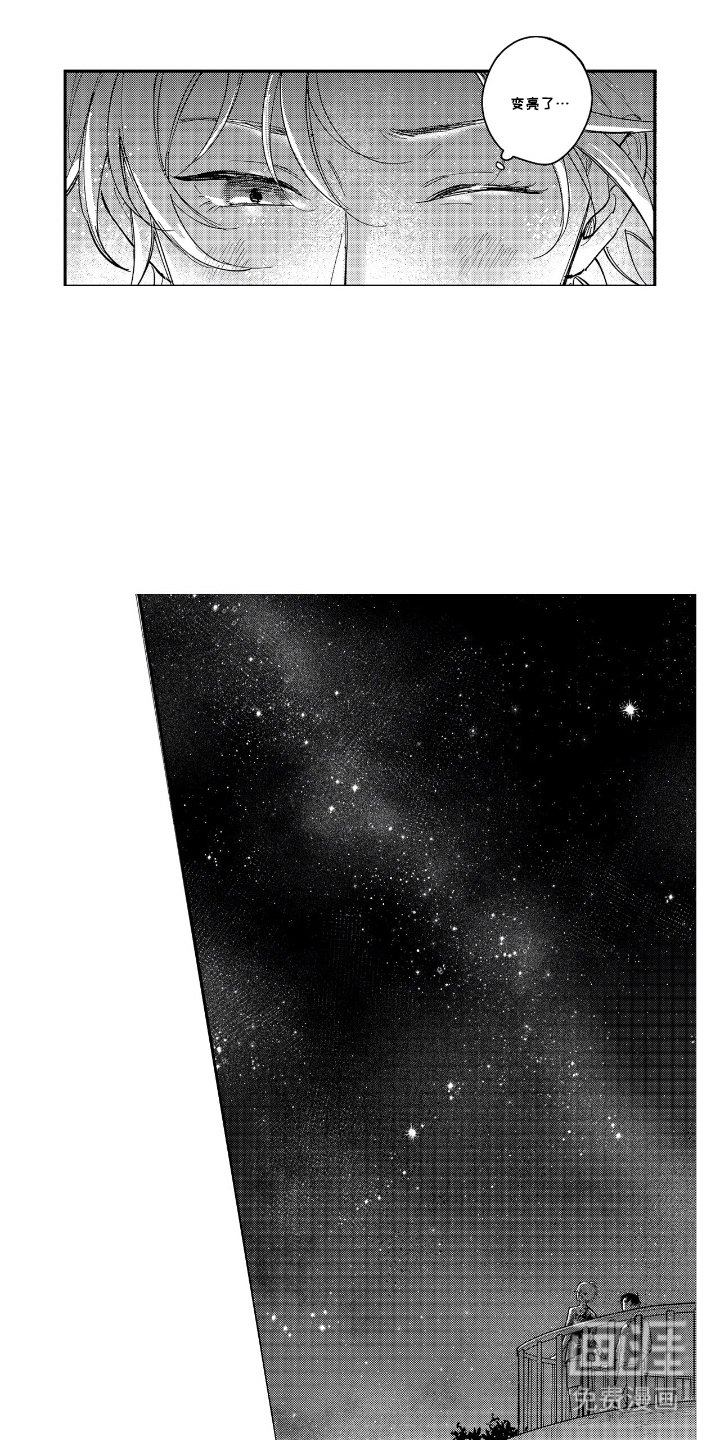 第17章：星星