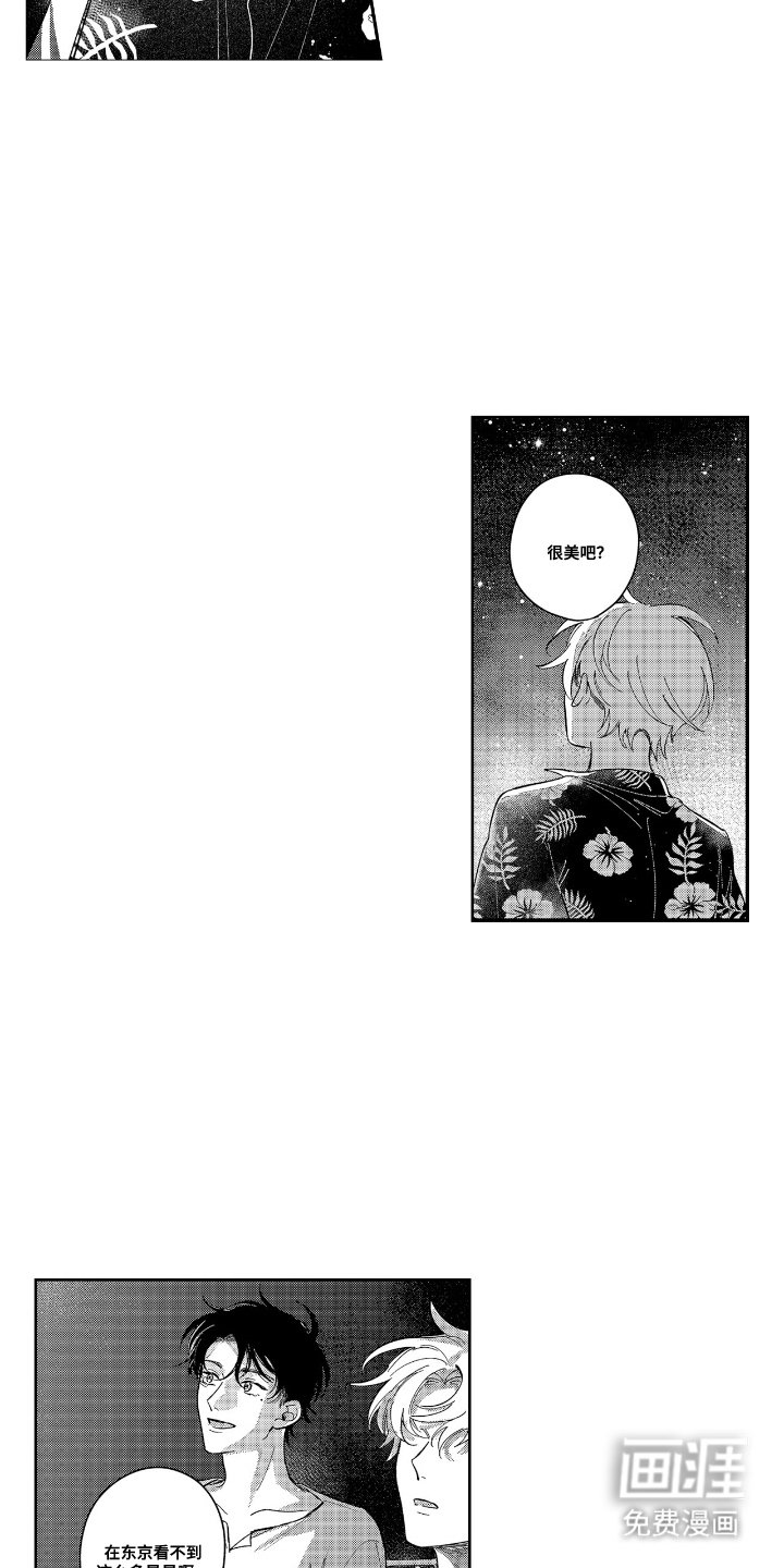第17章：星星