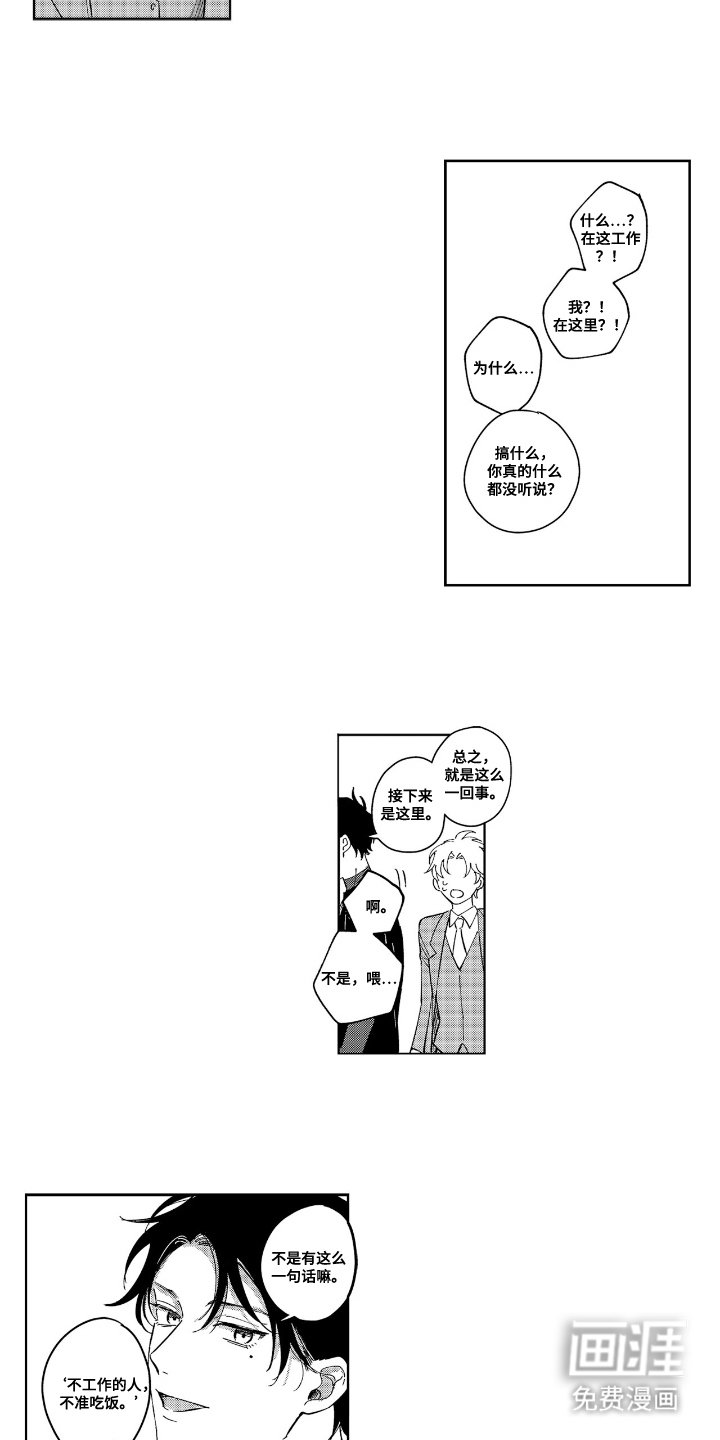 第4章：这里工作