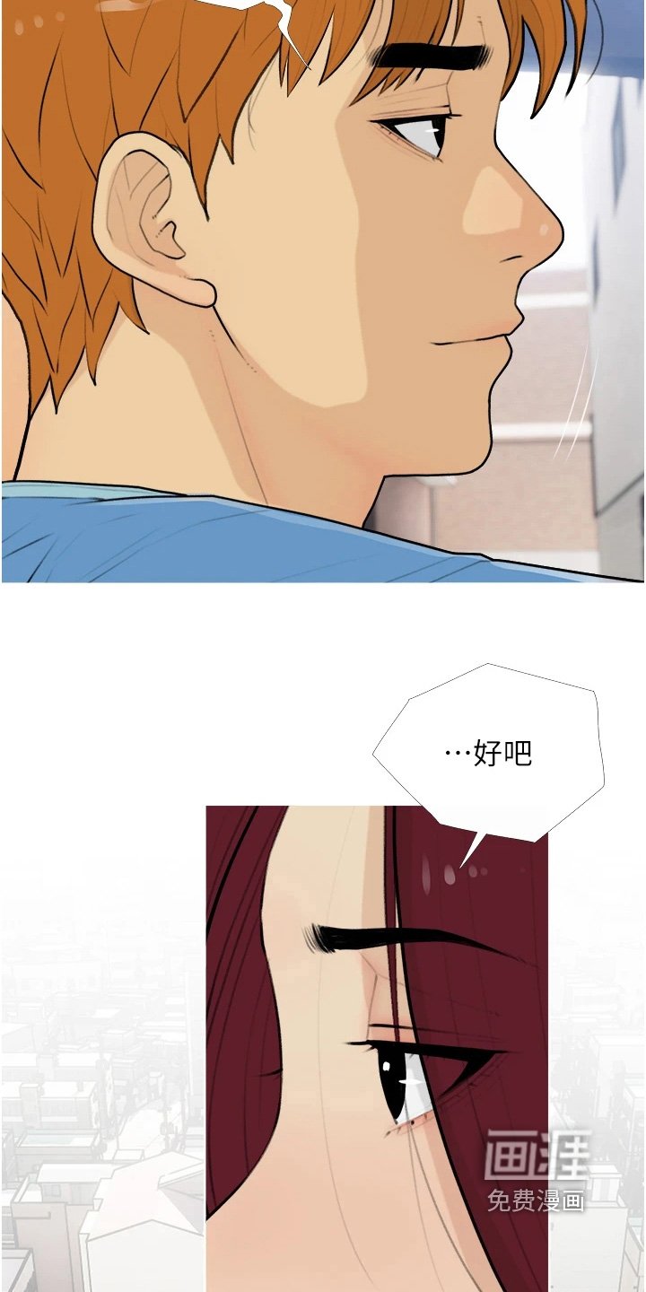第17章：条件