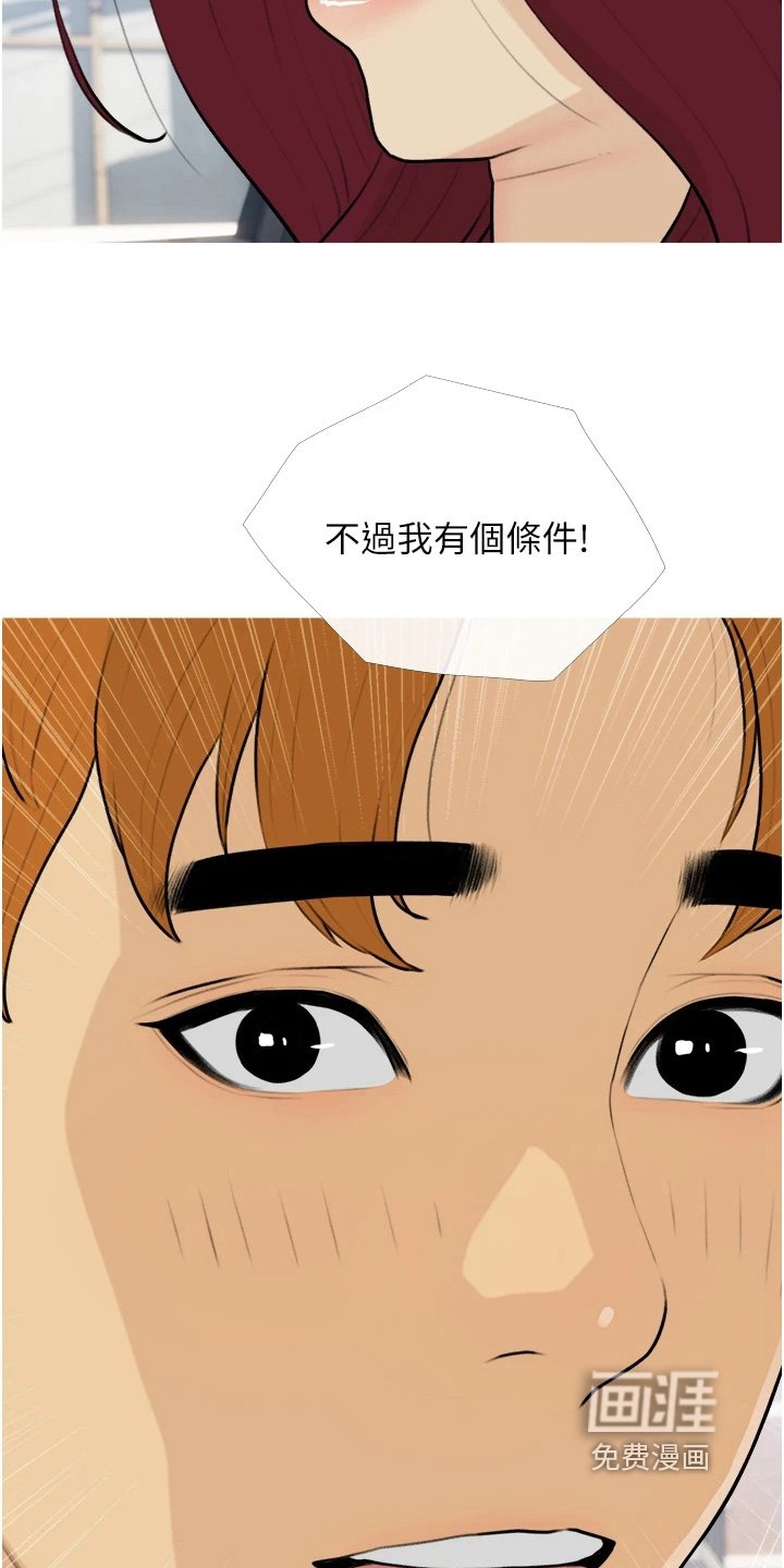 第17章：条件