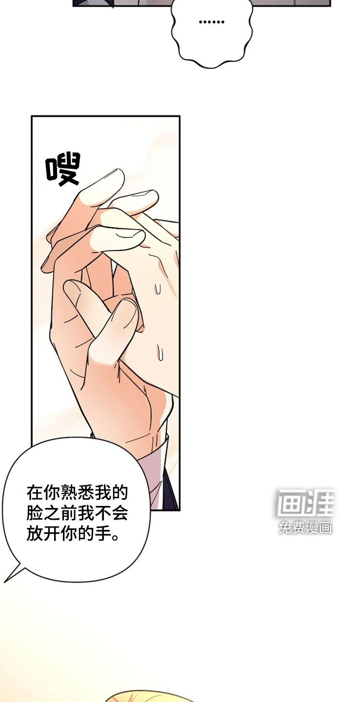 第28章：绑架案