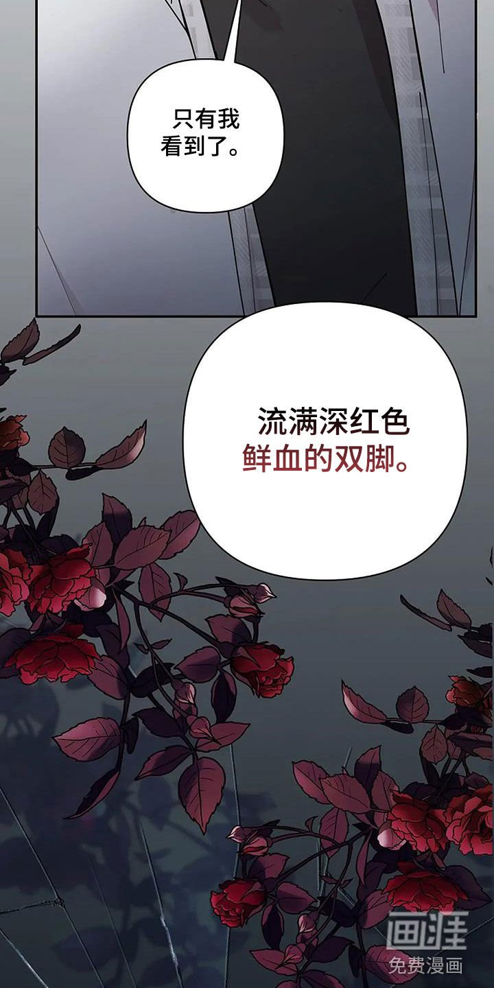 第43章：只有我看到了