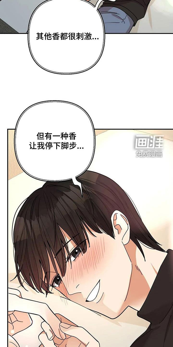 第49章：香味